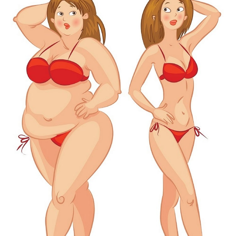 Illustration of two female figures, one carrying more body fat than the other