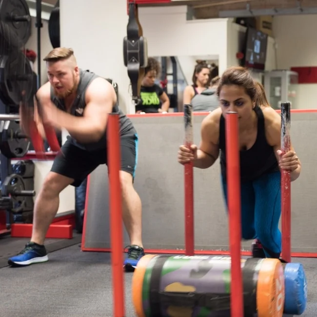 Two members pushing weighted sleds side by side in the gym