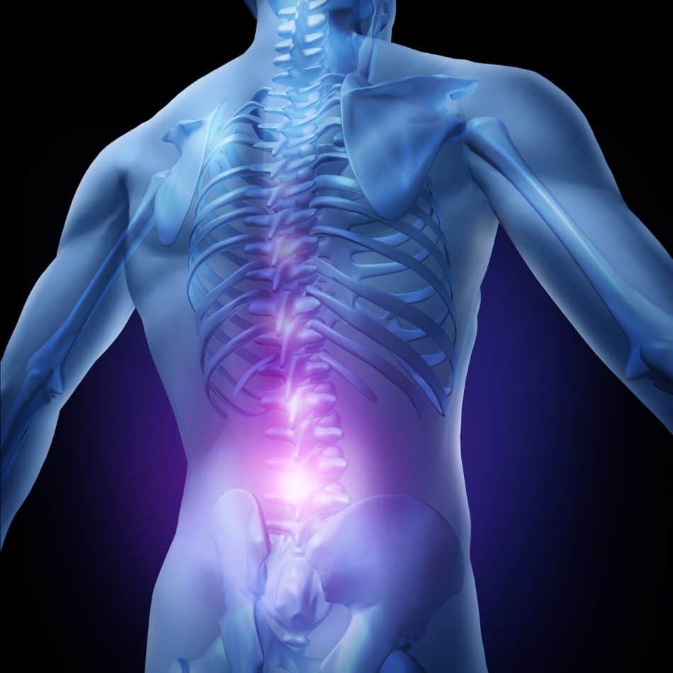 Illustration of a human back with the spine and lower back highlighted