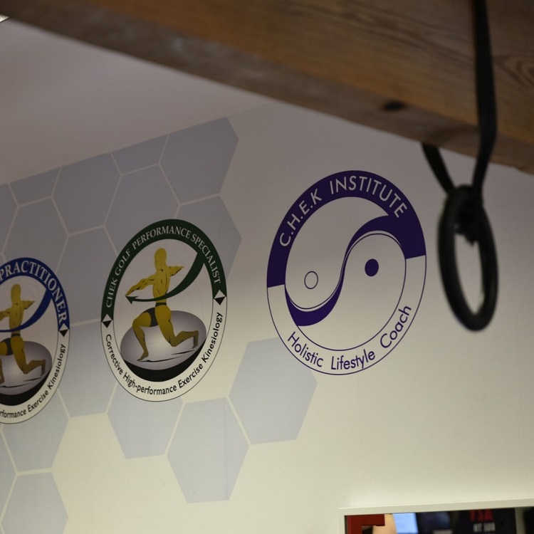C.H.E.K Institute emblems on the gym wall